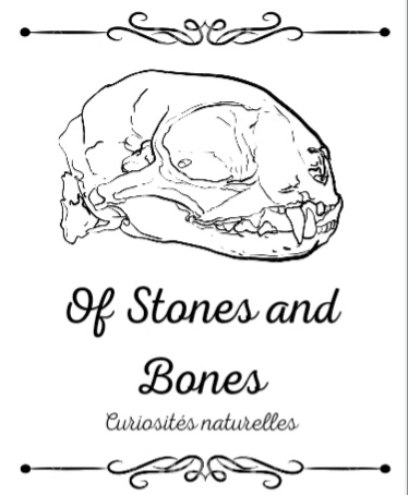 Of Stones and Bones