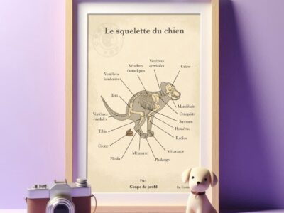 Illustratrice canine pour amoureux des chiens